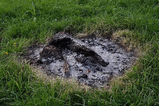 How Do BBQ Ashes Affect Garden Soil